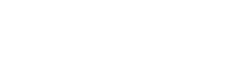 Oracle NetSuite Solution Provider